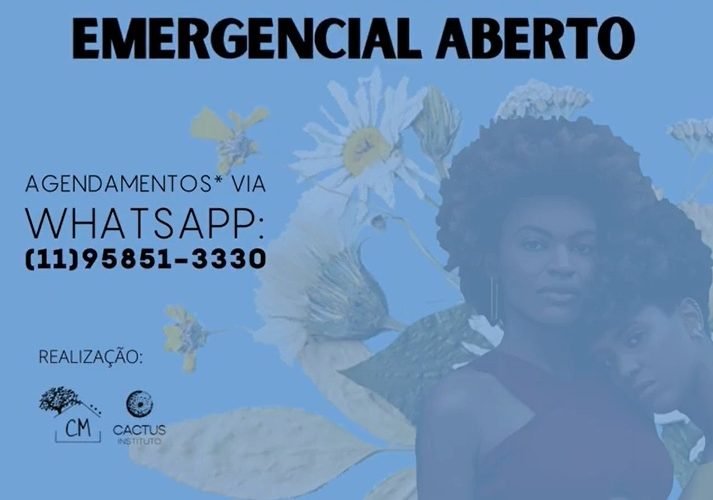 Cinco chás de plantas medicinais que ajudam a reduzir a ansiedade e a insônia