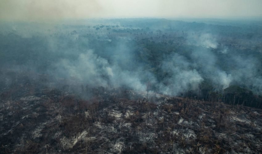 Queimadas-Amazônia-agosto-2019-Foto-Victor-Moriyama_Greenpeace-33-e1662999316530