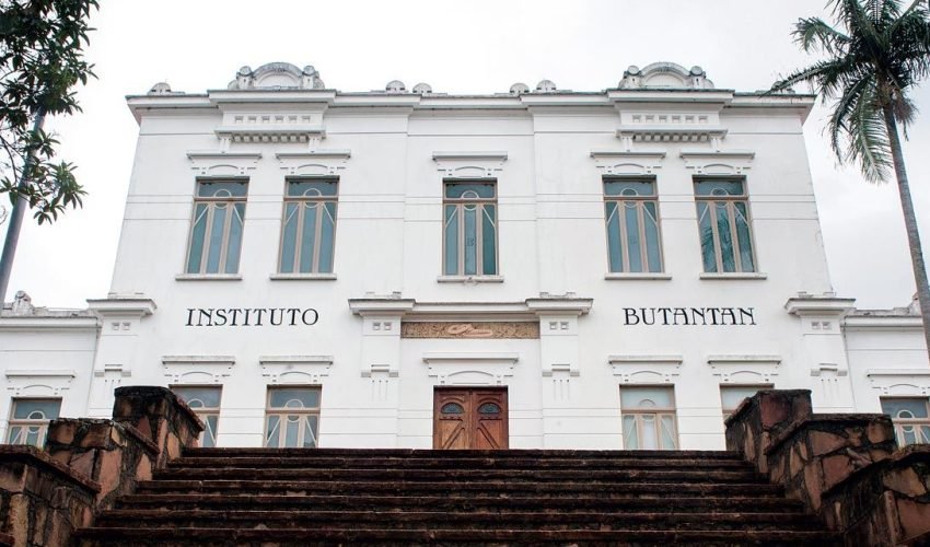 030-041_Butantan_300-A-0-1140