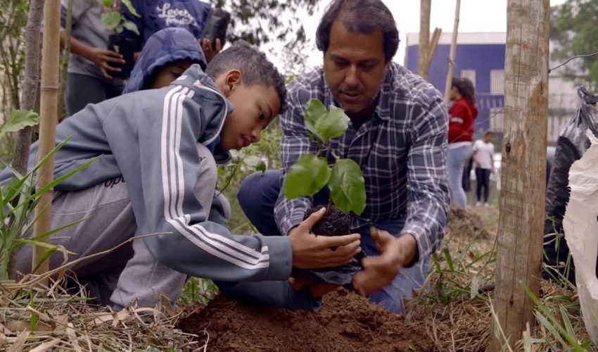 Agro-Floresta-Urbana-EMEF-Socrates-Brasileiro-Sampaio-de-Souza-Vieira-de-Oliveira-5.JPG