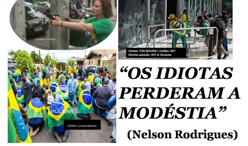 idiotas2