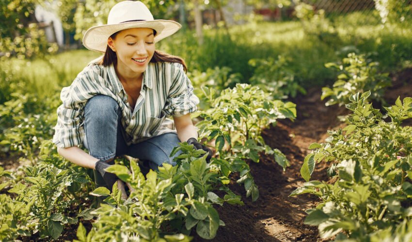 Woman in a hat working in a garden